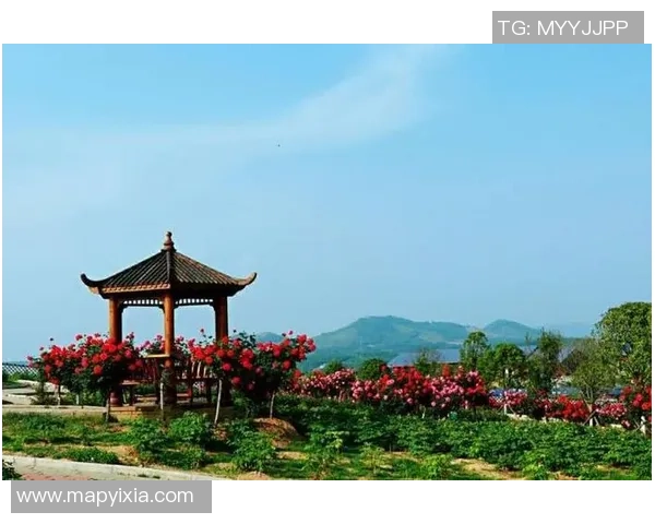 杭州羽毛球队的崛起之路：追梦奥运会的奋斗与荣耀