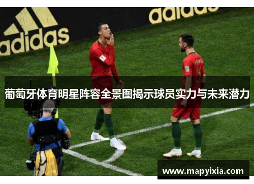 葡萄牙体育明星阵容全景图揭示球员实力与未来潜力